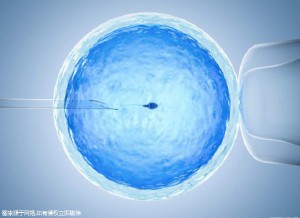 私人同性代怀助孕怎么收费